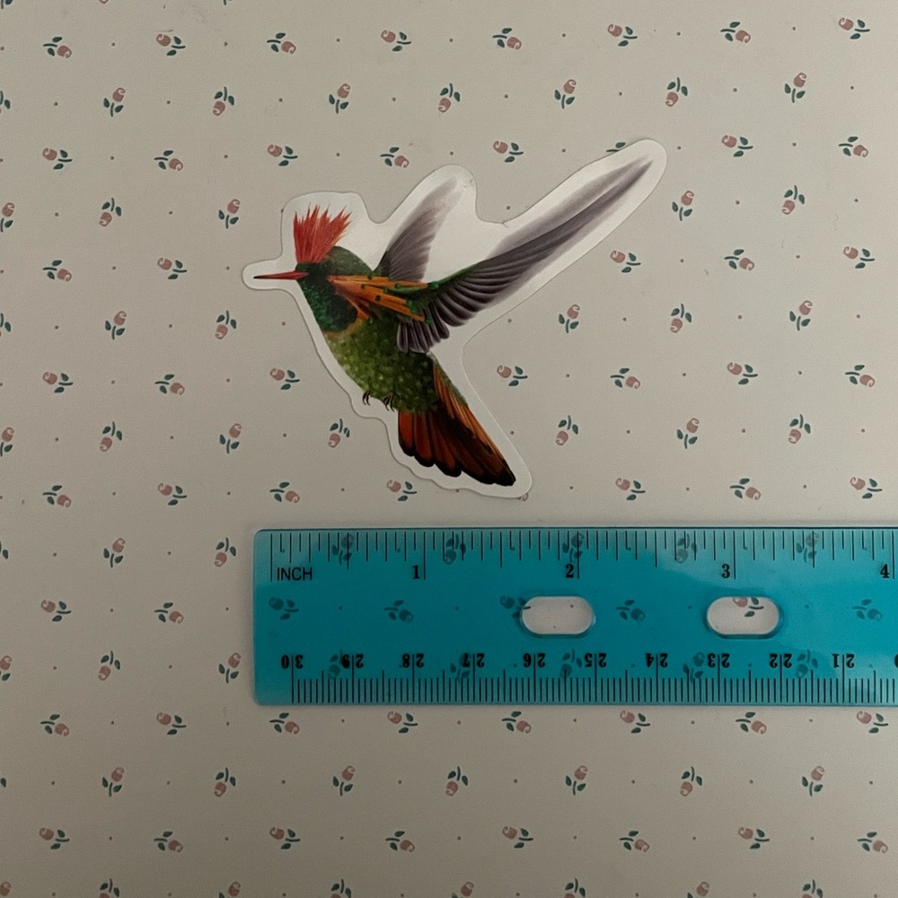 Hummingbird Sticker - Picture 2 of 2